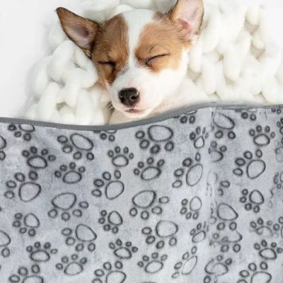 COUVERTURE POUR CHIEN - COSYPAWS™