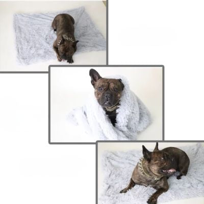 COUVERTURE POUR CHIEN – FLUFFYNEST™