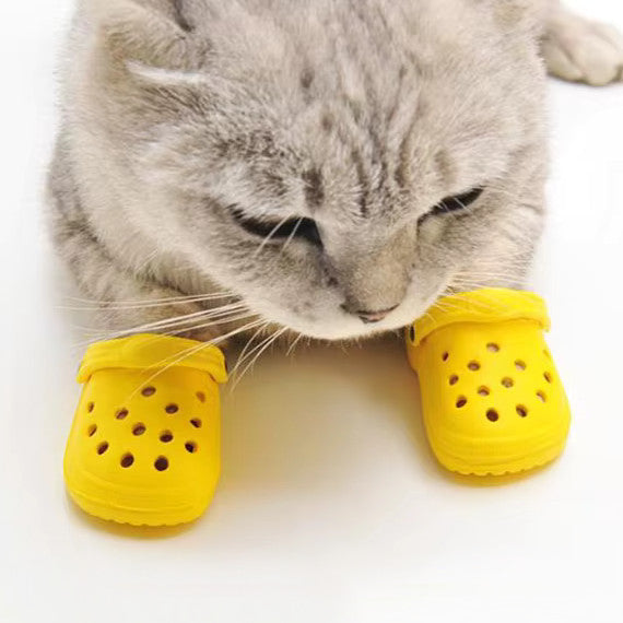 Crocs Pour Chien