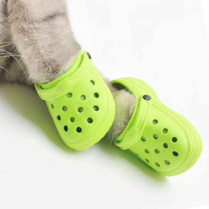 Crocs Pour Chien
