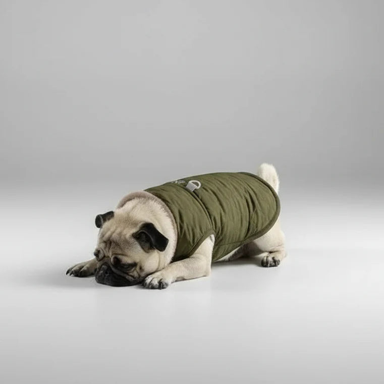 Veste Imperméable Pour Chien Avec Col En Fourrure