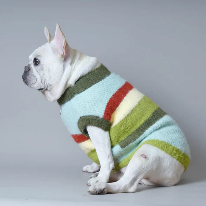 Pull Doux Et Confortable Pour Chien