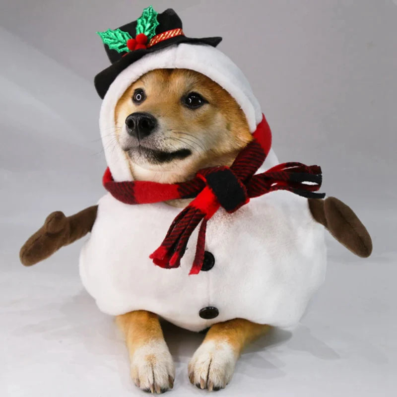 Déguisement Bonhomme de Neige Chien