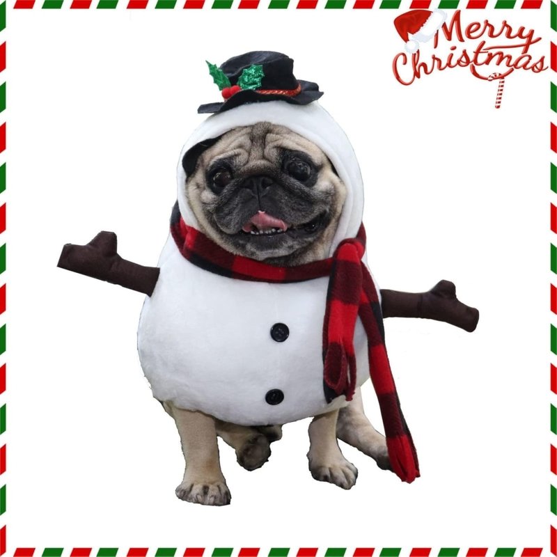 Déguisement Bonhomme de Neige Chien