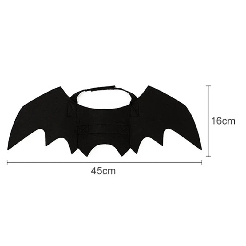 Déguisement Chat Chauve Souris
