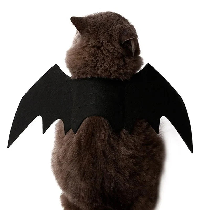Déguisement Chat Chauve Souris
