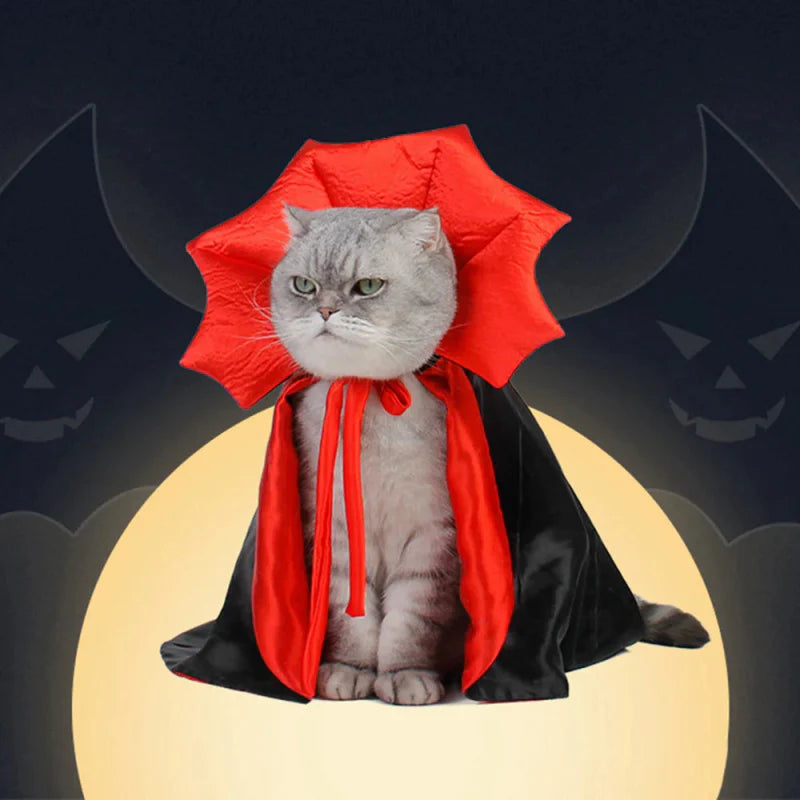 Déguisement Chat Dracula