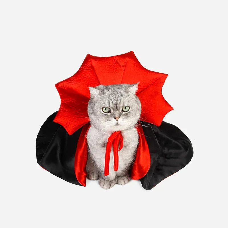 Déguisement Chat Dracula