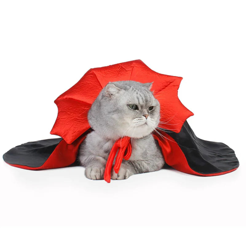 Déguisement Chat Dracula