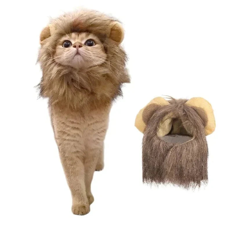 Déguisement Chat Lion