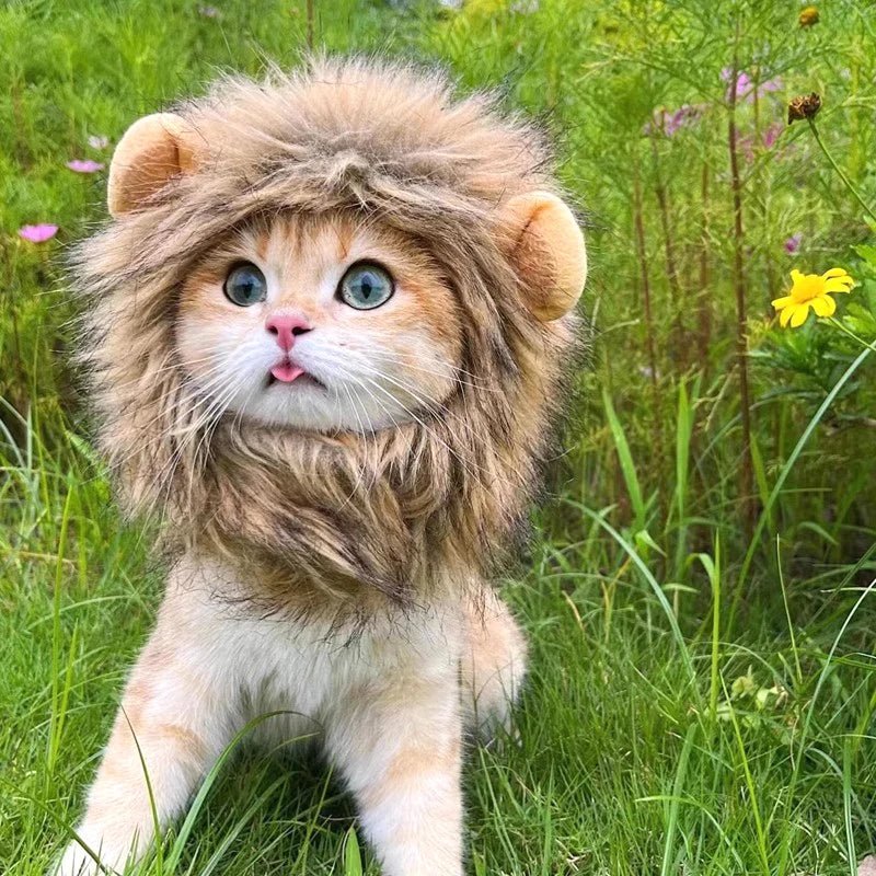 Déguisement Chat Lion