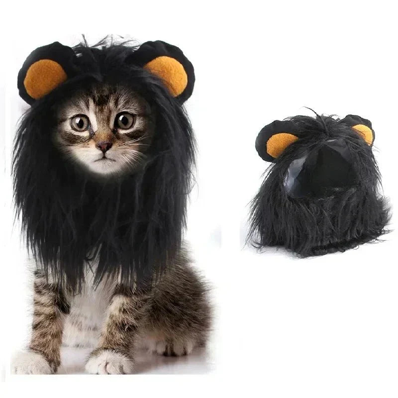 Déguisement Chat Lion