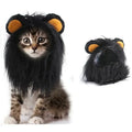 Déguisement Chat Lion
