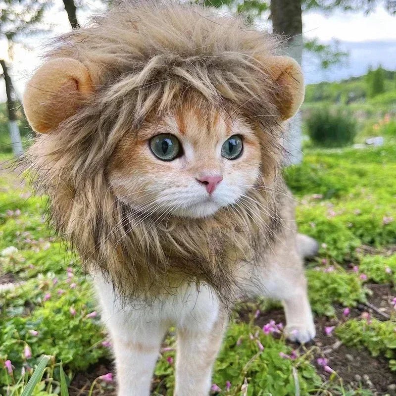 Déguisement Chat Lion