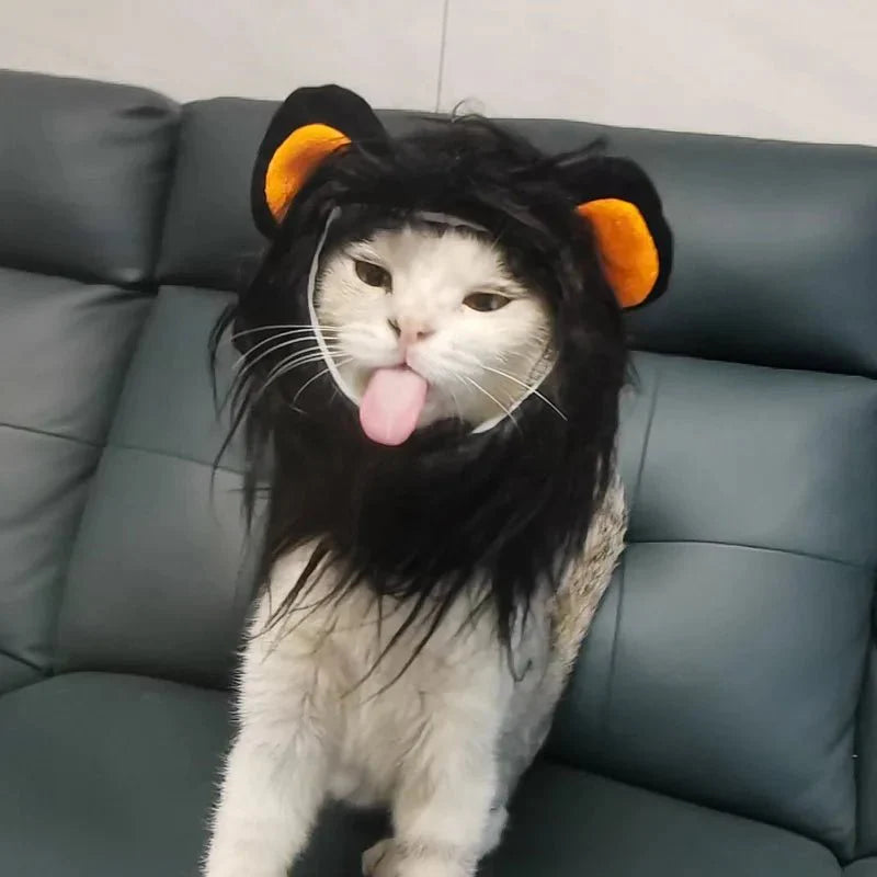 Déguisement Chat Lion