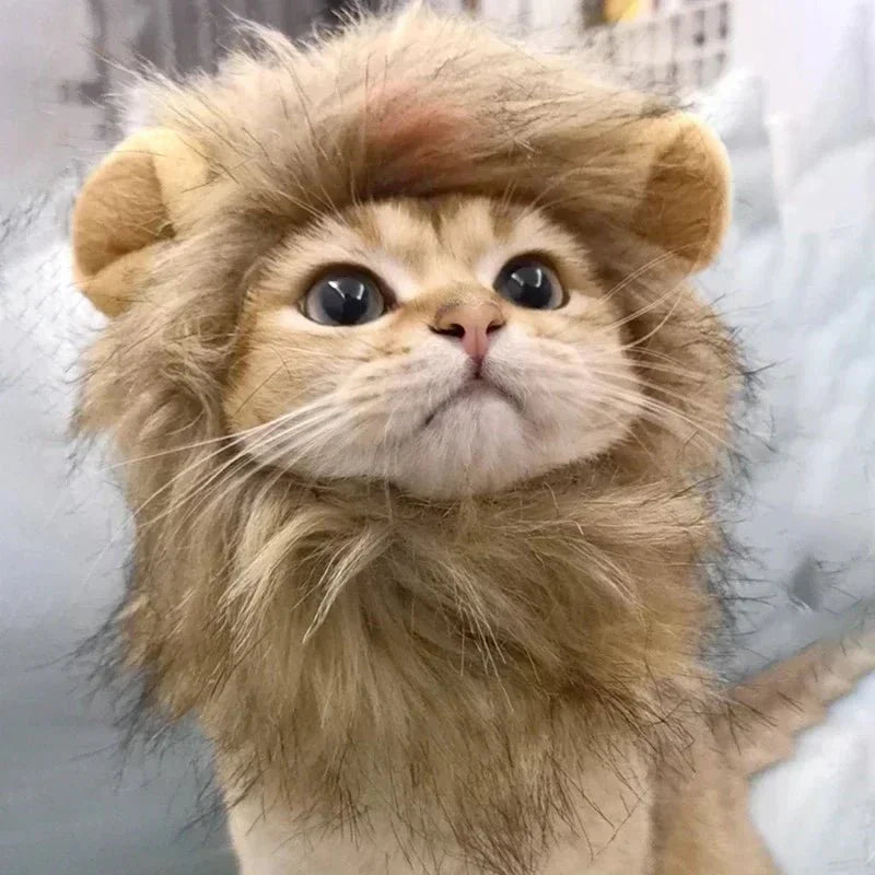 Déguisement Chat Lion