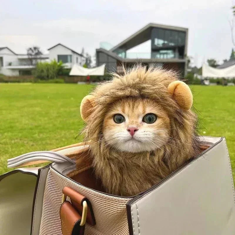 Déguisement Chat Lion