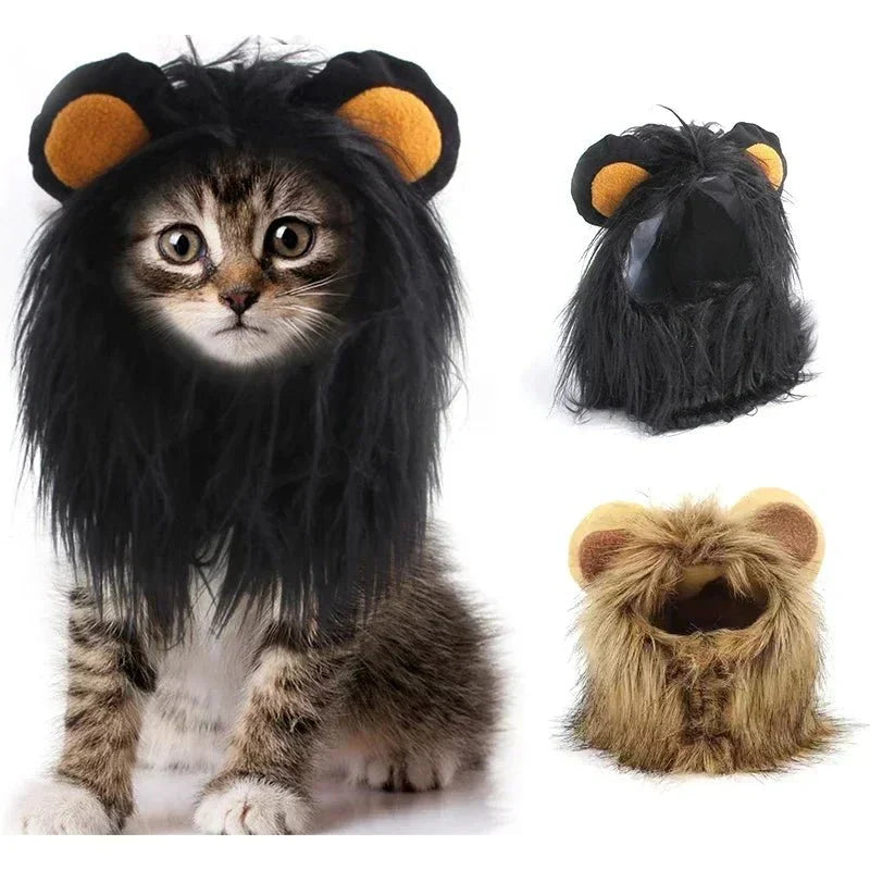 Déguisement Chat Lion