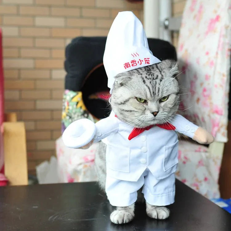 Déguisement Chef Cuistot Chat