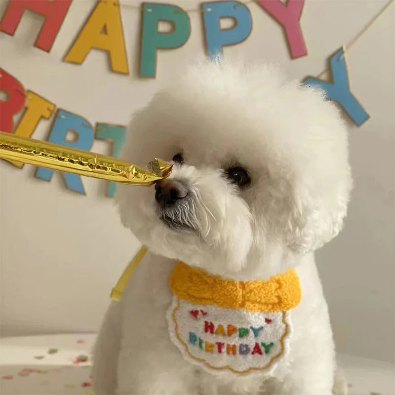 Déguisement Chien Anniversaire