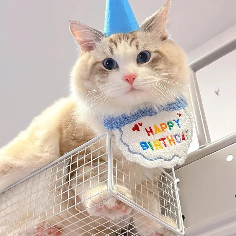 Déguisement Chien Anniversaire