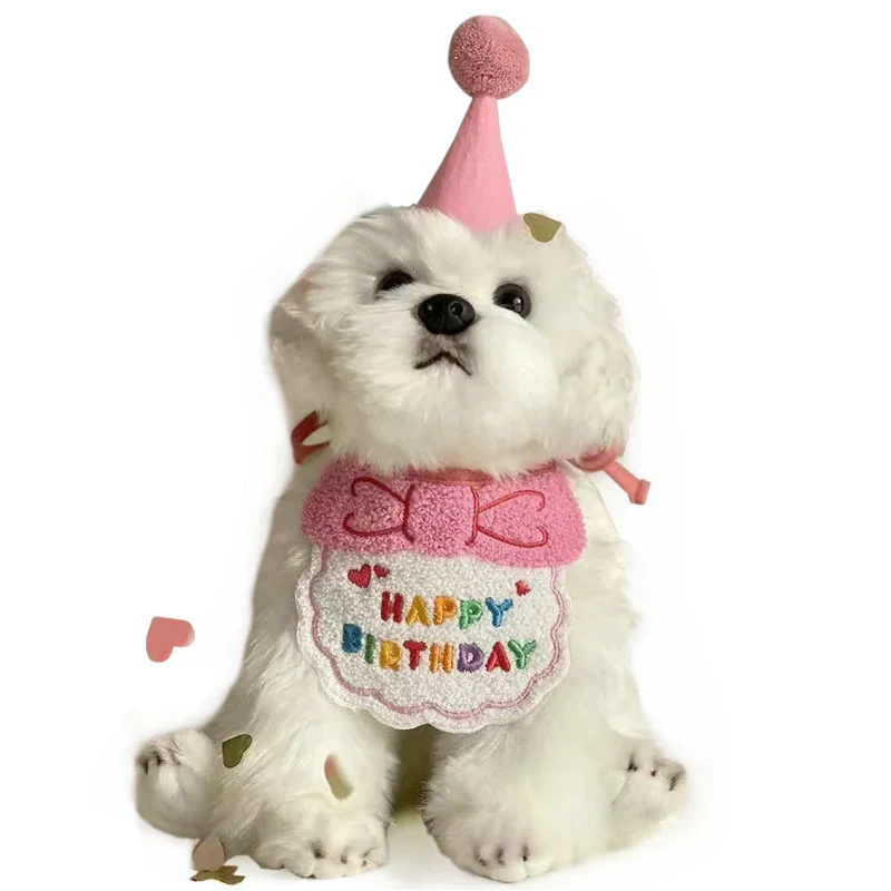 Déguisement Chien Anniversaire