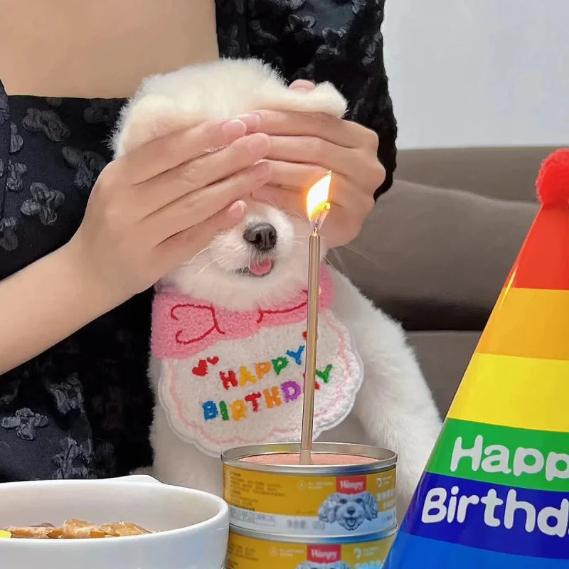 Déguisement Chien Anniversaire