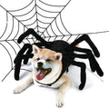 Déguisement Chien Halloween Araignée