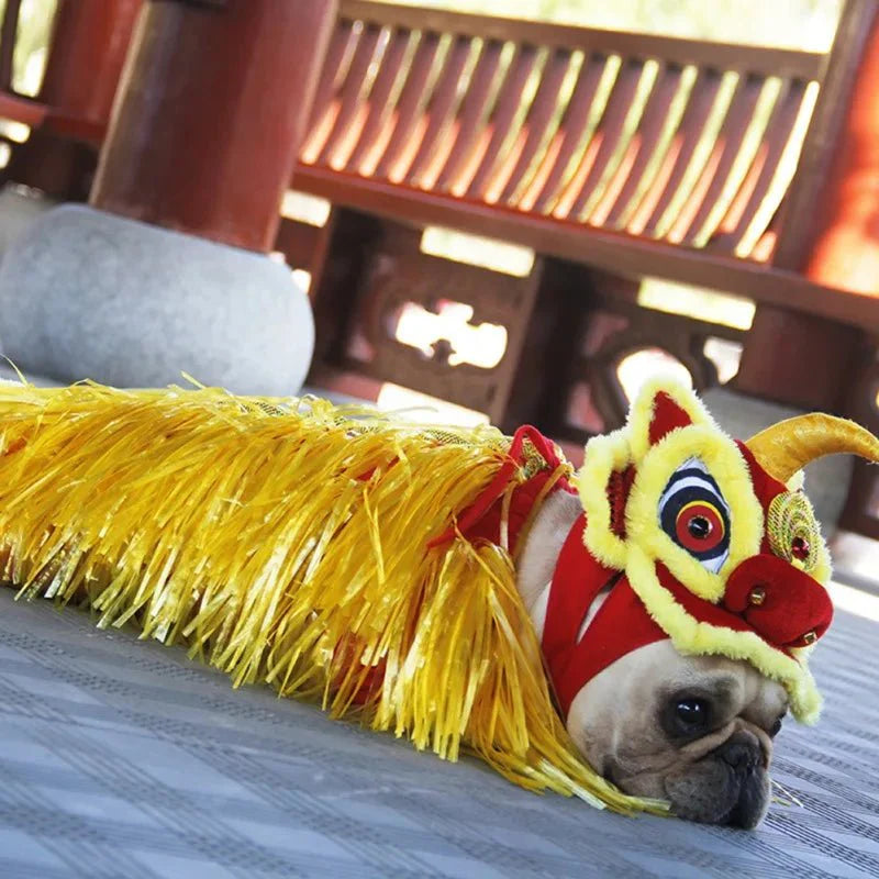 Déguisement Chien Chinois