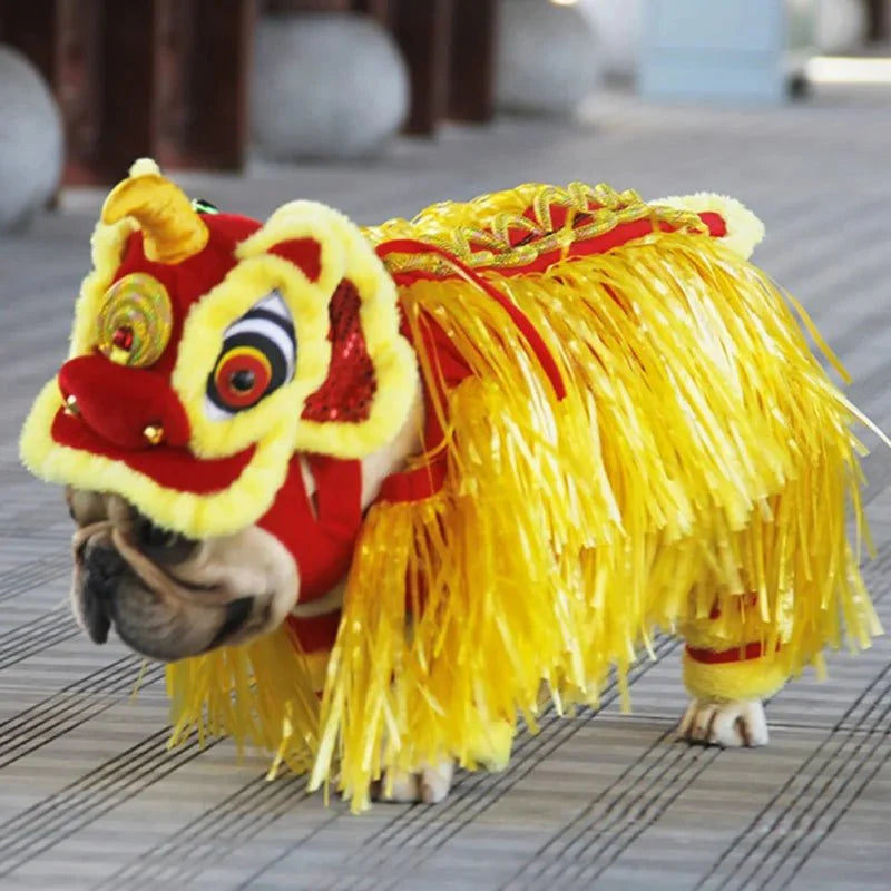 Déguisement Chien Chinois