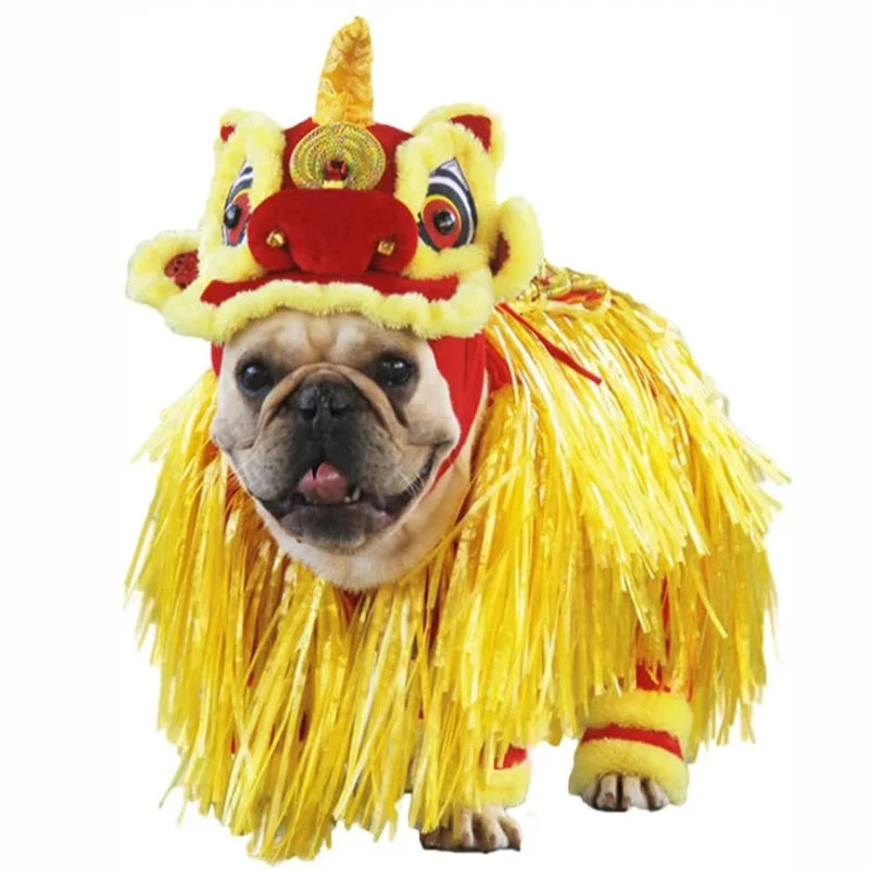 Déguisement Chien Chinois