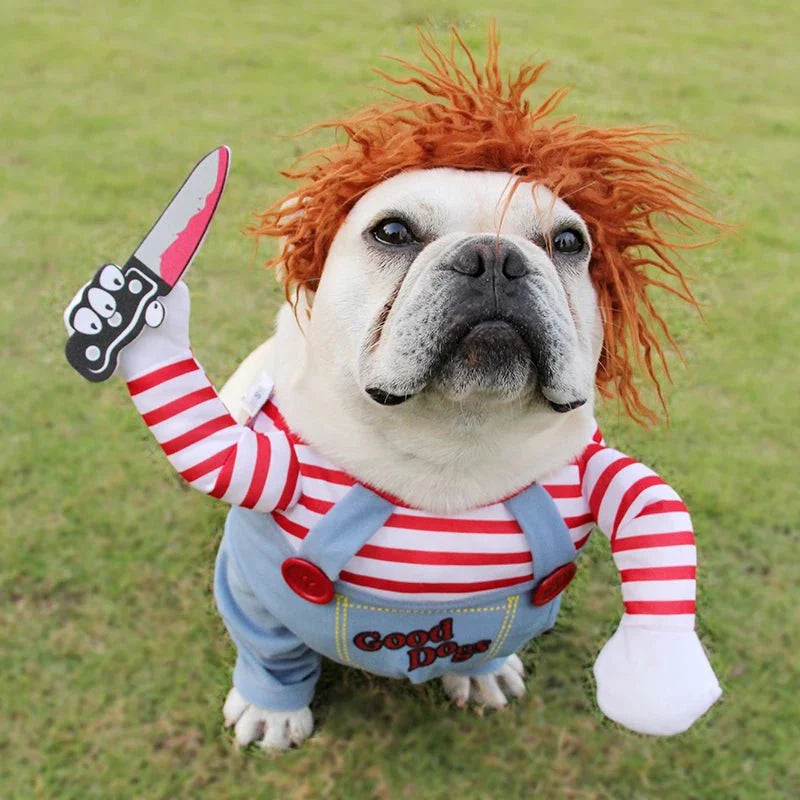Déguisement Chien Chucky