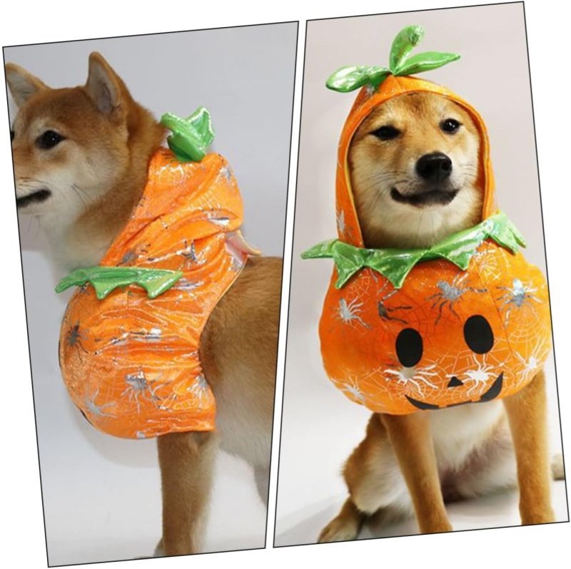 Déguisement Chien Citrouille