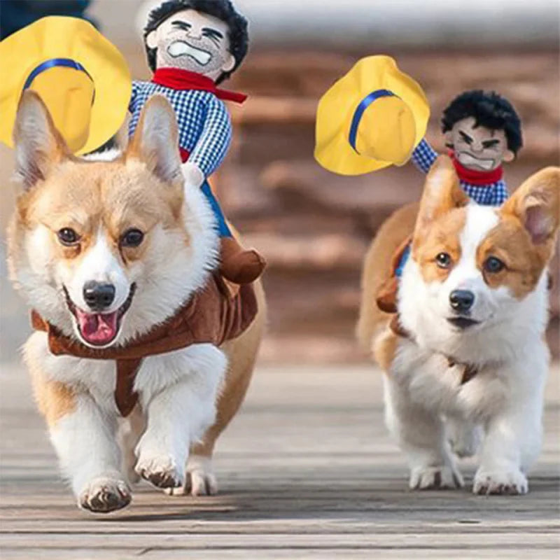 Déguisement Chien Cowboy