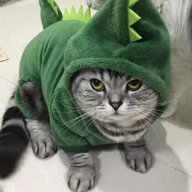 Déguisement Dinosaure Chat Chien