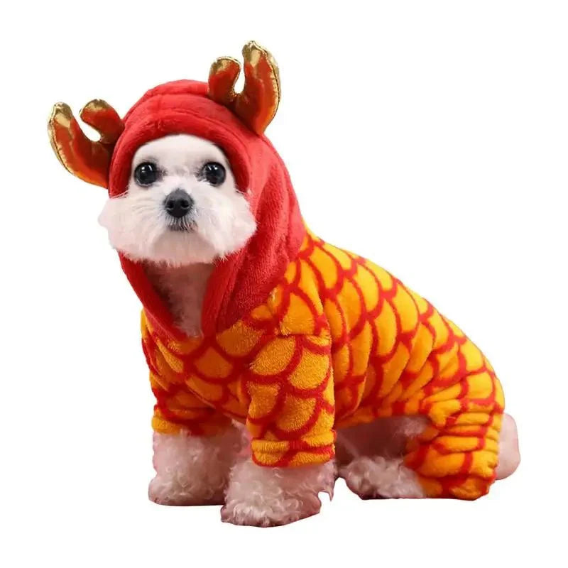 Déguisement Chien Dragon