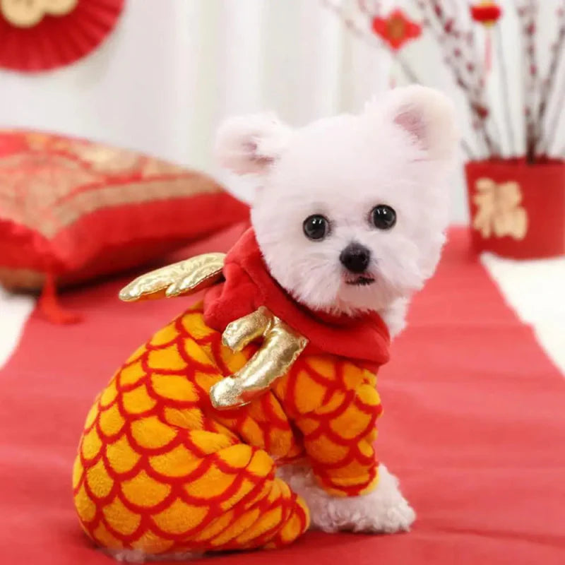 Déguisement Chien Dragon