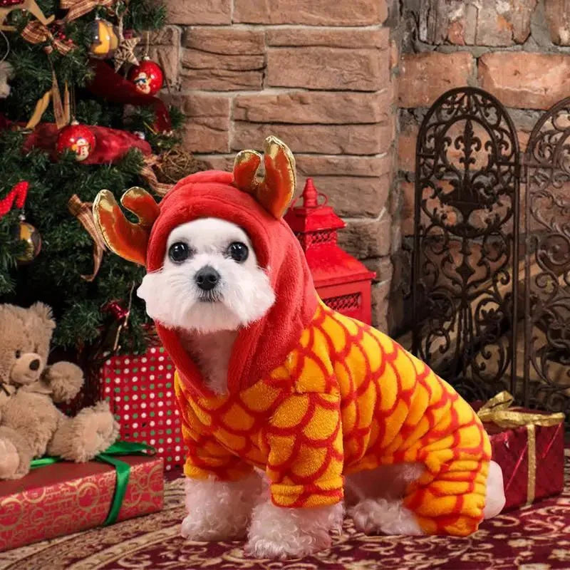 Déguisement Chien Dragon