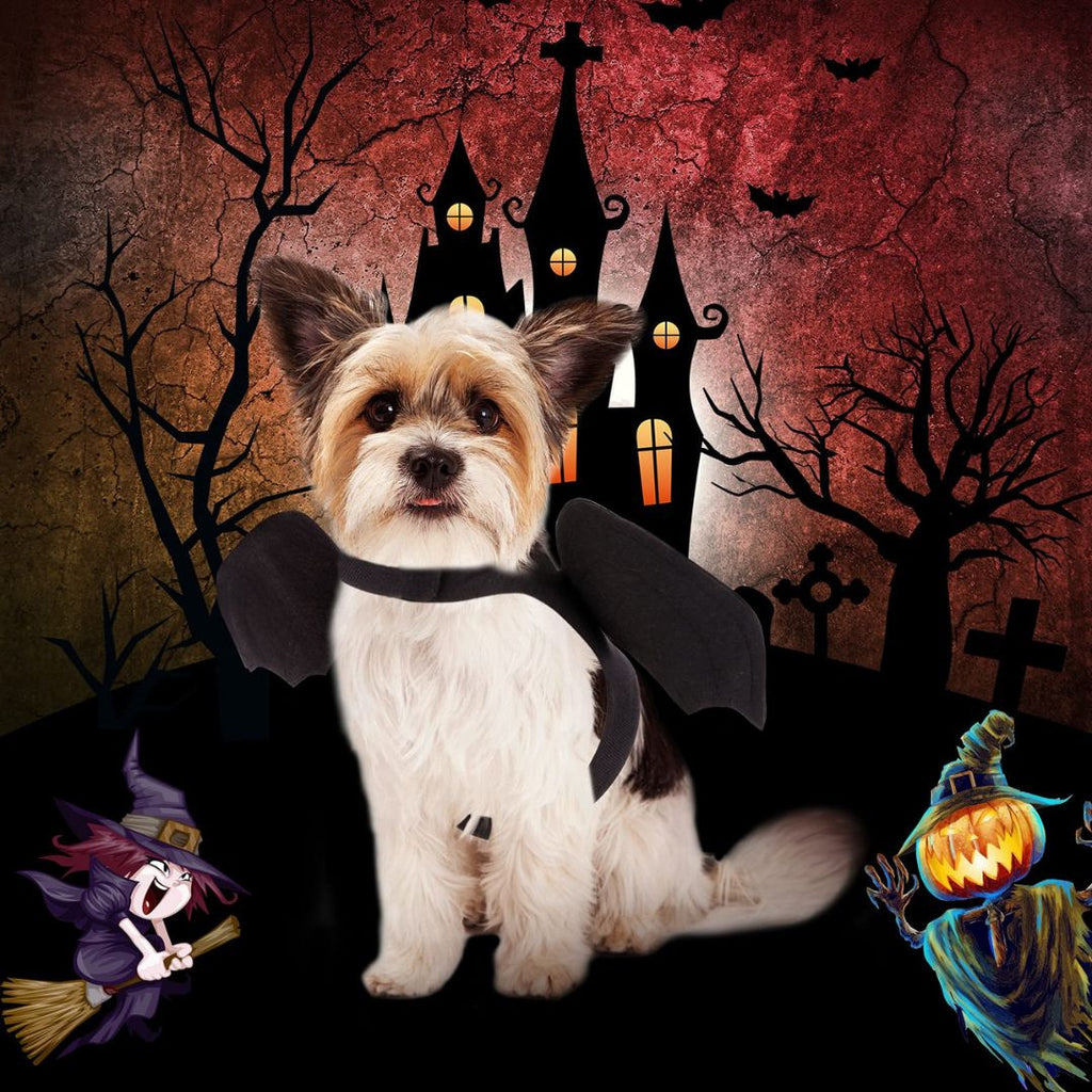DEGUISEMENT CHIEN | BatDog™