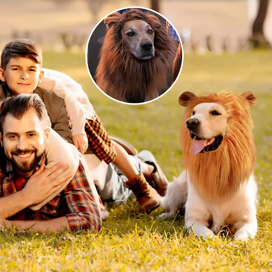 Déguisement Chien - Lion