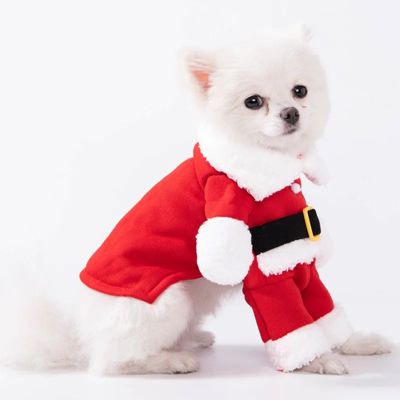 Déguisement Chien Père Noël