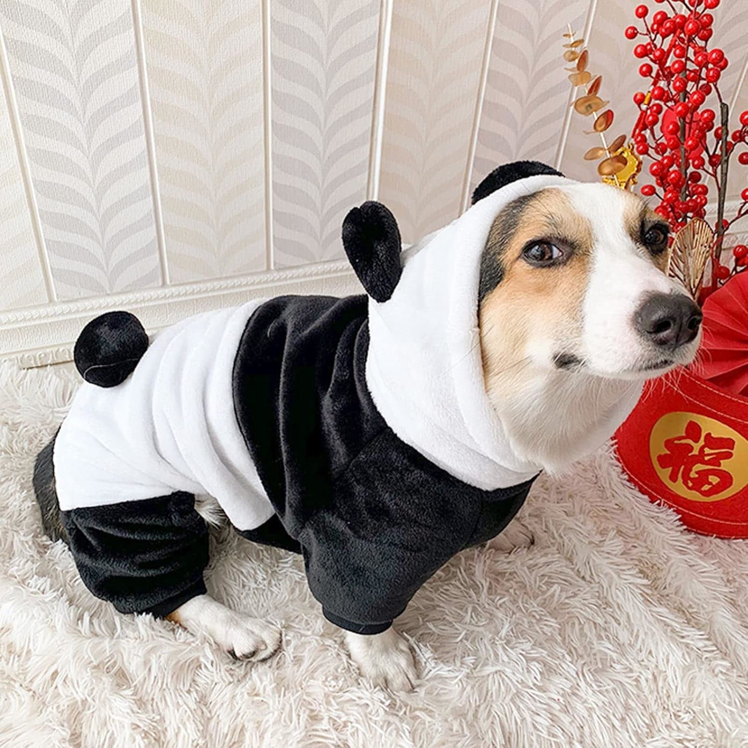 Déguisement Chien Panda