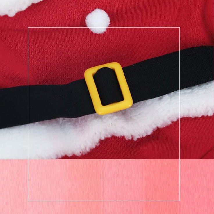 Déguisement Chien Père Noël