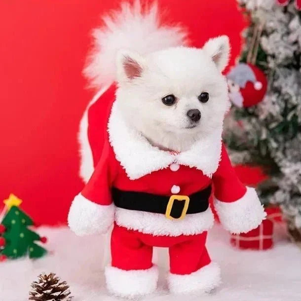 Déguisement Chien Père Noël
