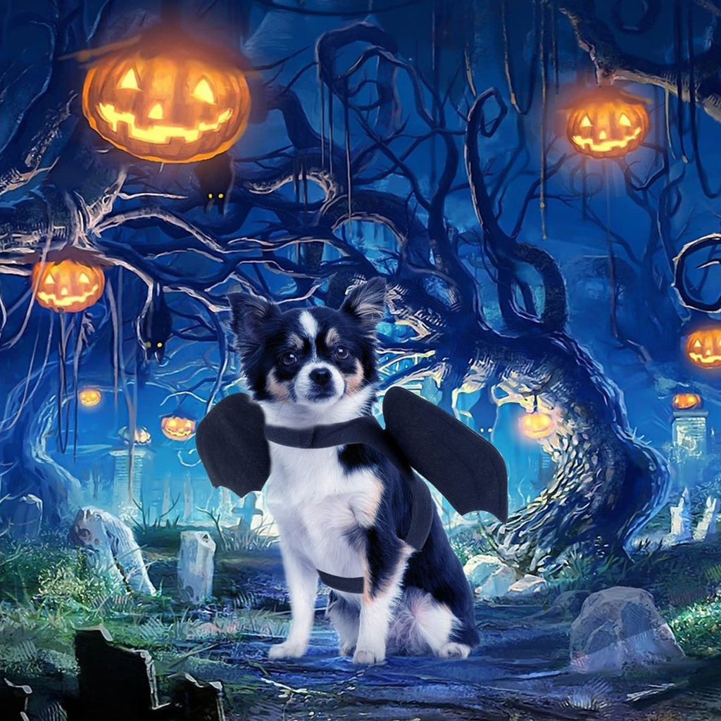 DEGUISEMENT CHIEN | BatDog™