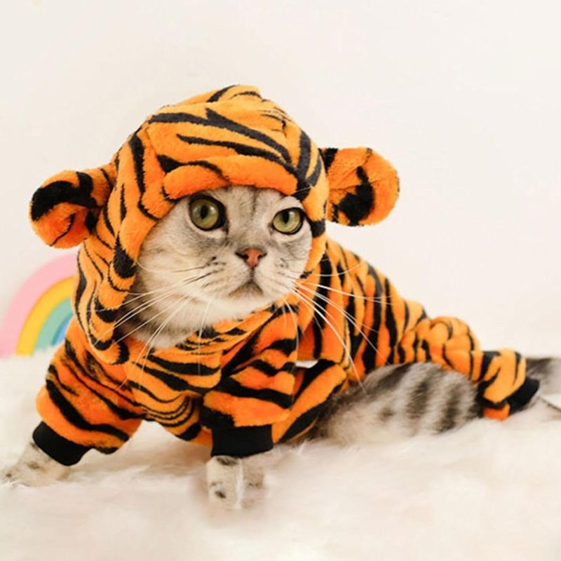 Déguisement Chien Tigre