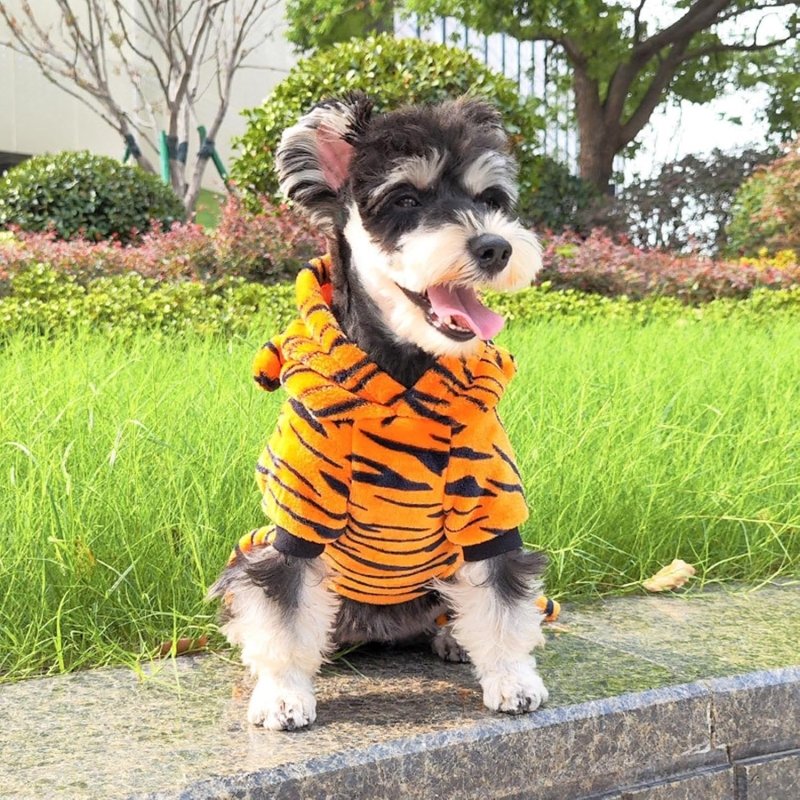 Déguisement Chien Tigre