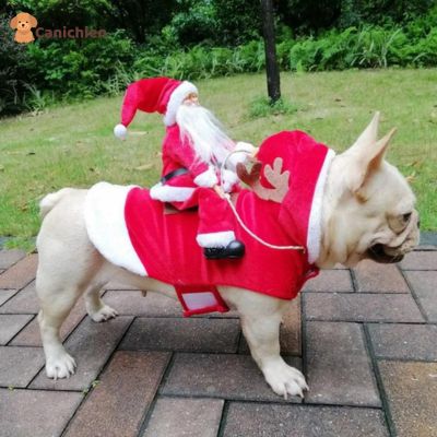 DEGUISEMENT CHIEN | Caninoël™