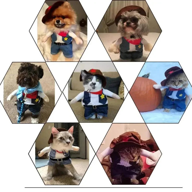 Déguisement Cowboy Chat