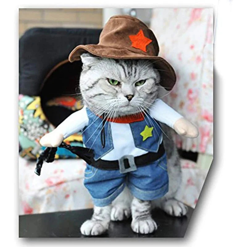 Déguisement Cowboy Chat